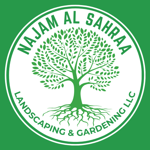 Najam Al Sahraa